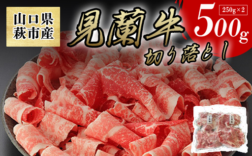 【数量限定】山口県萩市産 見蘭牛 切り落とし 500g (250g×2)国産  肉 お肉 牛｜HG000068