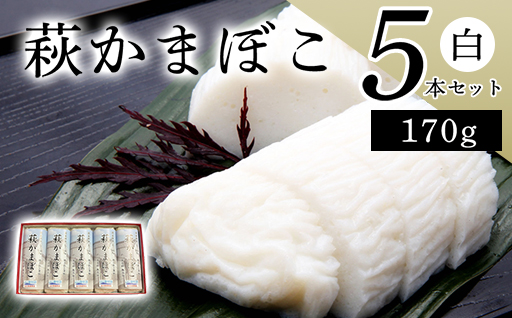 萩かまぼこ 170g 白5本【化粧箱入】（国産鮮魚エソ100％）｜HG000076 白5本