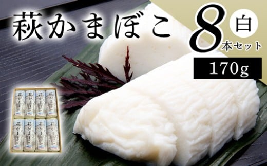 萩かまぼこ 170g 白8本【化粧箱入】（国産鮮魚エソ100％）｜HG000078 白8本