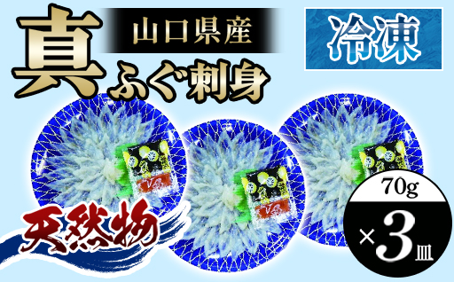 山口県産 真ふぐ 刺身 210g (70g×3皿)｜HG000205 70kg×3皿