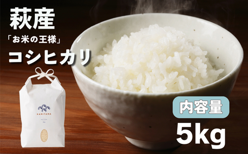コシヒカリ 令和7年 5kg 米 コメ こめ 萩産 KAMITAMA｜HG000289 5kg×1