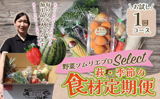 野菜ソムリエプロselect／萩・季節の食材セット　定期便お試し1回コース｜HG000601 定期便　お試し1回コース