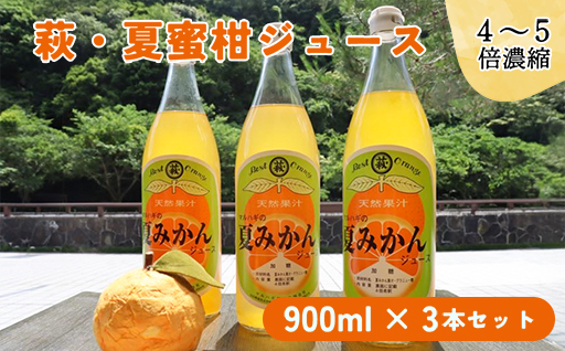 萩名産夏蜜柑／萩・夏蜜柑ジュース　4倍濃縮・3本セット｜HG000606