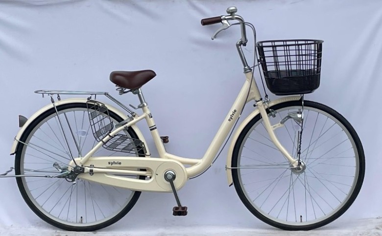 貸自転車 1日 レンタル ペアチケット｜HG000985