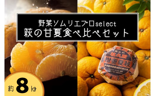 萩の甘夏 食べ比べ セット 8kg以上 20玉程度 野菜ソムリエ プロselect 甘夏 果物 デザート 柑橘｜HG001024