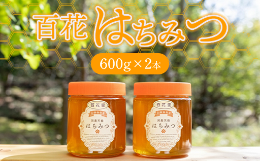 純粋天然　百花はちみつ　600g×2本｜HG001061 600g×2本