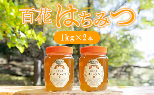 純粋天然　百花はちみつ　1kg×2本｜HG001063 1kg×2本