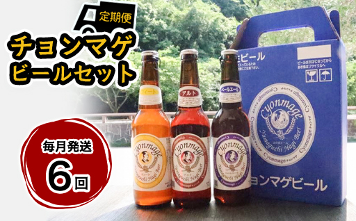 萩の地ビールを堪能！／チョンマゲビール定期便　12本セット　毎月発送・6回コース｜HG0T0437