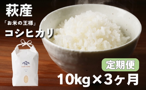 定期便 3か月 コシヒカリ 令和7年 10kg 米 コメ こめ 萩産 KAMITAMA｜HG0T0585