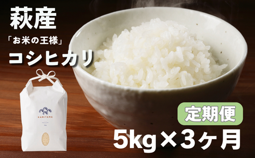 定期便 3か月 コシヒカリ 令和7年 5kg 米 コメ こめ 萩産 KAMITAMA｜HG0T0586