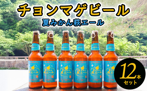 城下町・萩の地ビール／夏みかん萩エール12本セット｜HG0005-B
