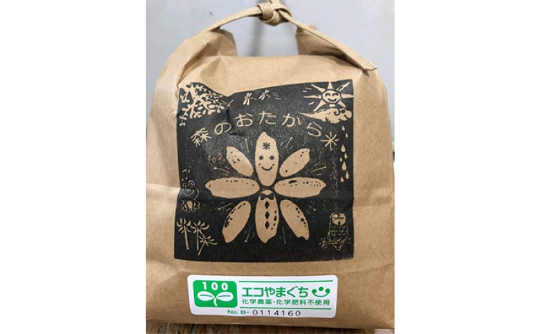 米 玄米 10kg 自然栽培米 朝日 山口県産 コメ 米｜HG000420