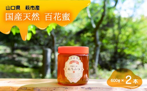 純粋天然　百花はちみつ　600g×2本｜HG001061 600g×2本