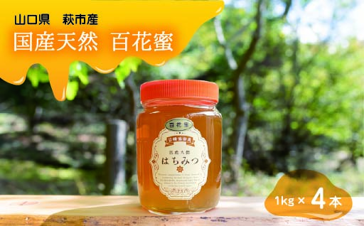 純粋天然　百花はちみつ　1kg×4本｜HG001064 1kg×4本