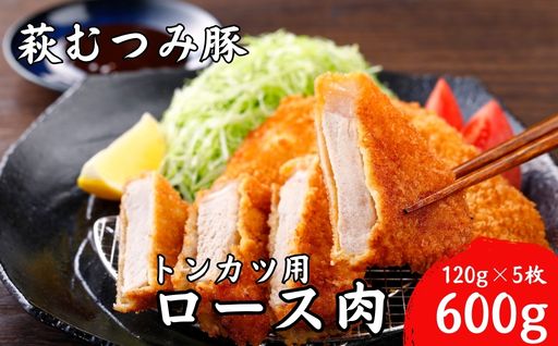萩むつみ豚 トンカツ用ロース肉　120g×5枚｜HG000187