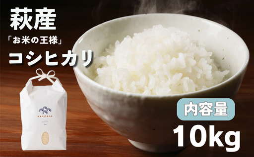 コシヒカリ 令和7年 10kg 米 コメ こめ 萩産 KAMITAMA｜HG000290