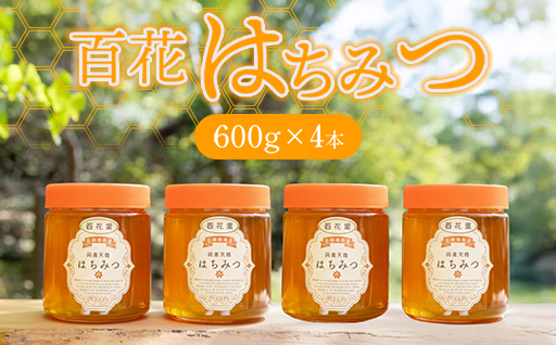 純粋天然　百花はちみつ　600g×4本｜HG001062