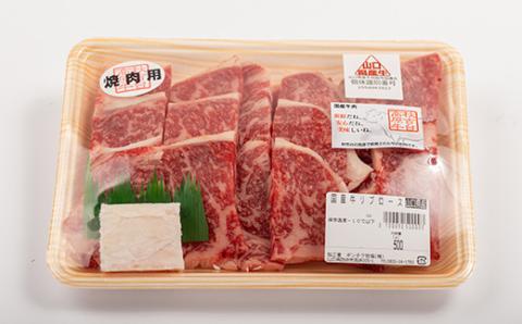 山口県産　秋吉台高原牛リブロース焼肉500g【配送不可地域：離島】