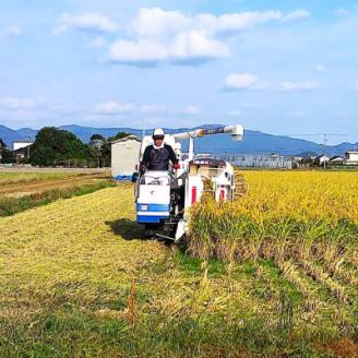 栽培期間中農薬・肥料不使用で作った朝日米 玄米20kg: 防府市ANAのふるさと納税