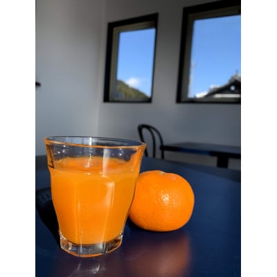 【訳あり】今年は少し大きめ。富海産濃い味みかん　3kg