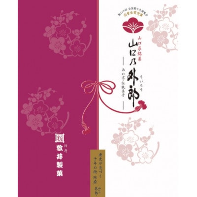 山口乃外郎6袋12本入