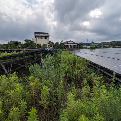 草刈作業 5000円引きクーポン