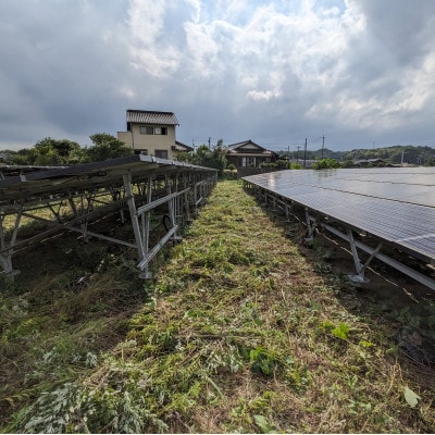草刈作業20000円引きクーポン