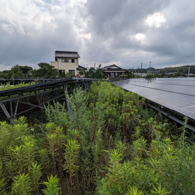 草刈作業10000円引きクーポン
