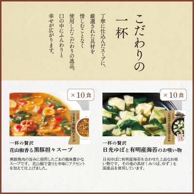 フリーズドライ2種20食セット(防府市)