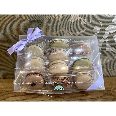 自然派マカロン　10個セット【配送不可地域：離島】