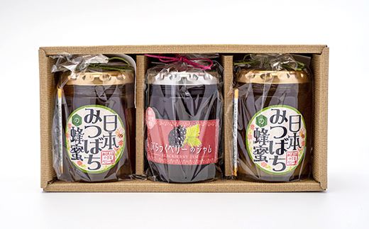 海の見える小さなベリー園の日本みつばちの「ハチミツ」【非加熱】とブラックベリージャムのセット