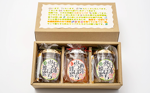 海の見える小さなベリー園の日本みつばちと西洋みつばちの「ハチミツ」【非加熱】の食べ比べセット(C)