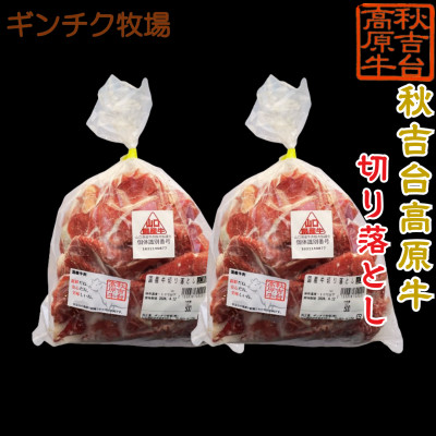 秋吉台高原牛 切り落とし 合計約1kg (約500g×2)【配送不可地域：離島】