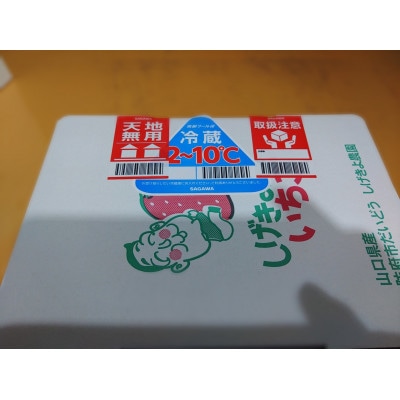 白いちごセット(天使のいちご240g×2)【配送不可地域：離島】