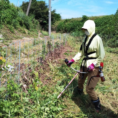 草刈作業20000円引きクーポン