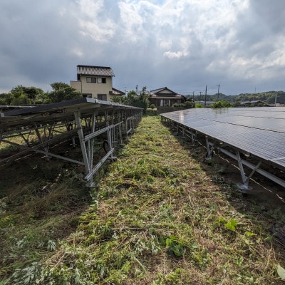 草刈作業10000円引きクーポン