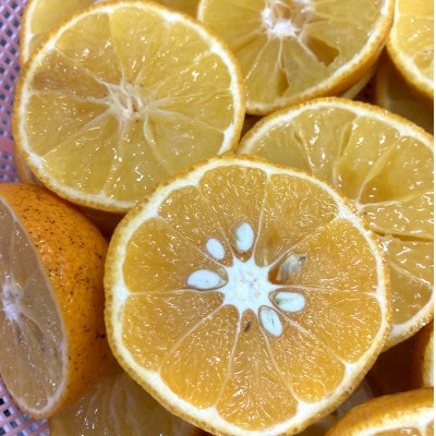 長門ゆずきちマーマレード