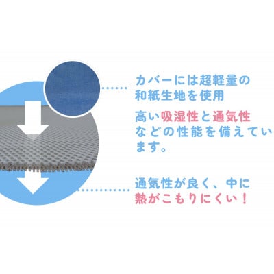 和紙生地 枕カバー SleePlus スリープラス