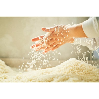 光浦醸造　甘酒3本ギフトBOXセット(プレーン×3本)