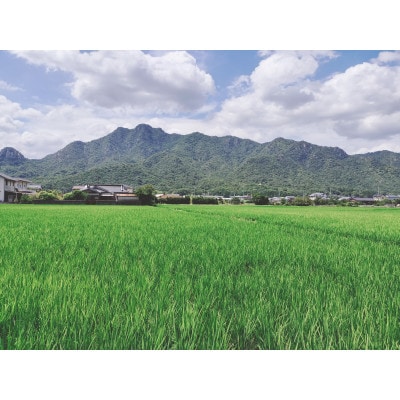 栽培期間中農薬・肥料不使用で作った朝日米　玄米5kg