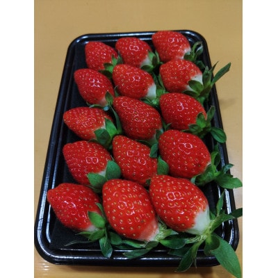 いちご味くらべ　おまかせセット(「あまおとめ」「おいCベリー」「かおりの」 各240gの内2種類)【配送不可地域：離島】