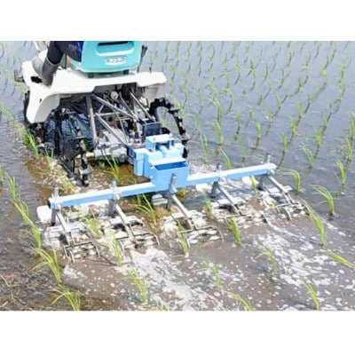 栽培期間中農薬・肥料不使用で作った朝日米　精米5kg