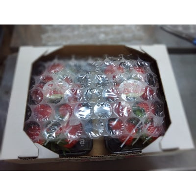 白いちご入り味くらべセット(白いちごトッピング含む「あまおとめ」「おいCベリー」各240g)【配送不可地域：離島】