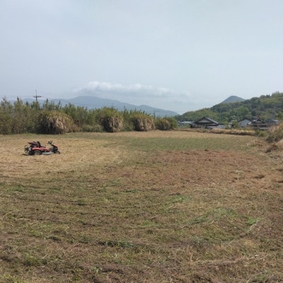 草刈作業10000円引きクーポン