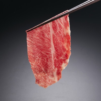 【やまぐち和牛燦(きらめき)】肩ローススライス 500g(防府市)【配送不可地域：離島】