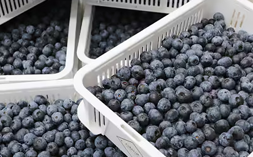 日本みつばちの「ハチミツ」【非加熱】とハチミツのみで加糖したブルーベリージャムのセット