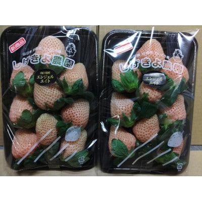 白いちごセット(天使のいちご240g×2)【配送不可地域：離島】