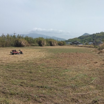 草刈作業20000円引きクーポン