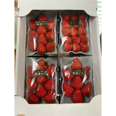 鹿丸農園のおまかせ いちごセット大【約250g×4パック　約1kg】【配送不可地域：離島】