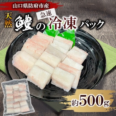 山口県防府市沖で獲れる天然鱧　約500g【配送不可地域：離島】